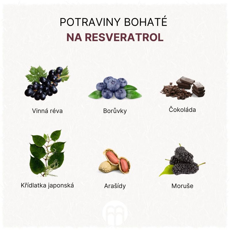 Návrh bez názvu (86)